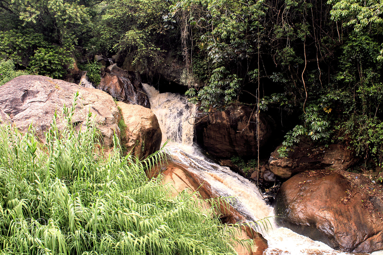 Canon EOS 1300D (EOS Rebel T6 / EOS Kiss X80) sample photo. Small running water flow photography