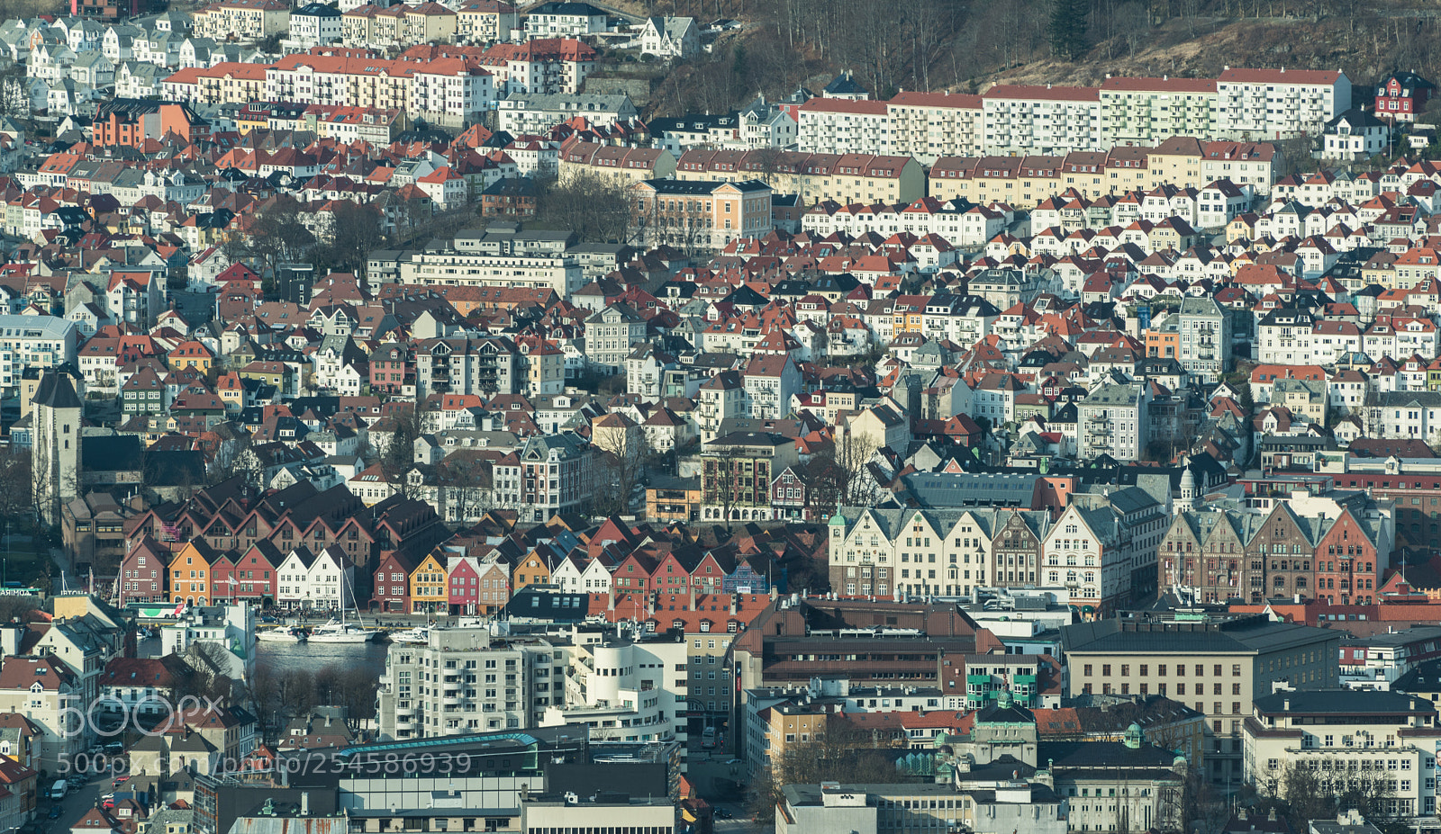 Nikon D800E sample photo. Bergen centrum photography