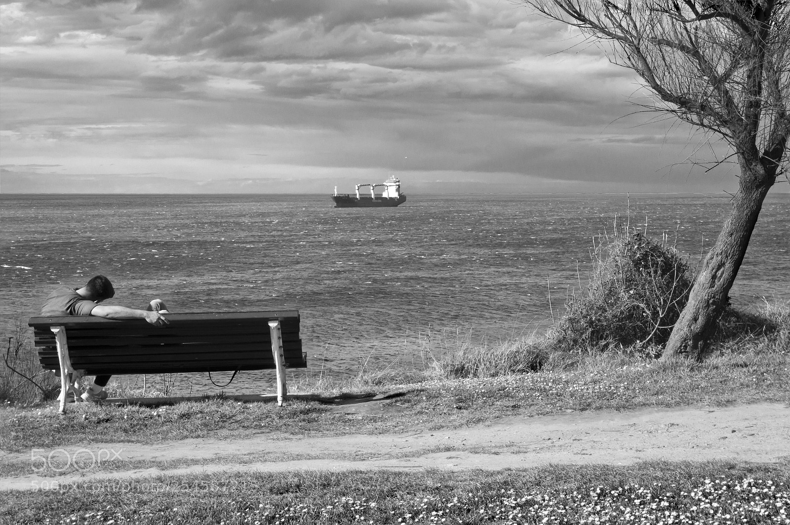 Sony Alpha a5000 (ILCE 5000) sample photo. Over the sea, and photography