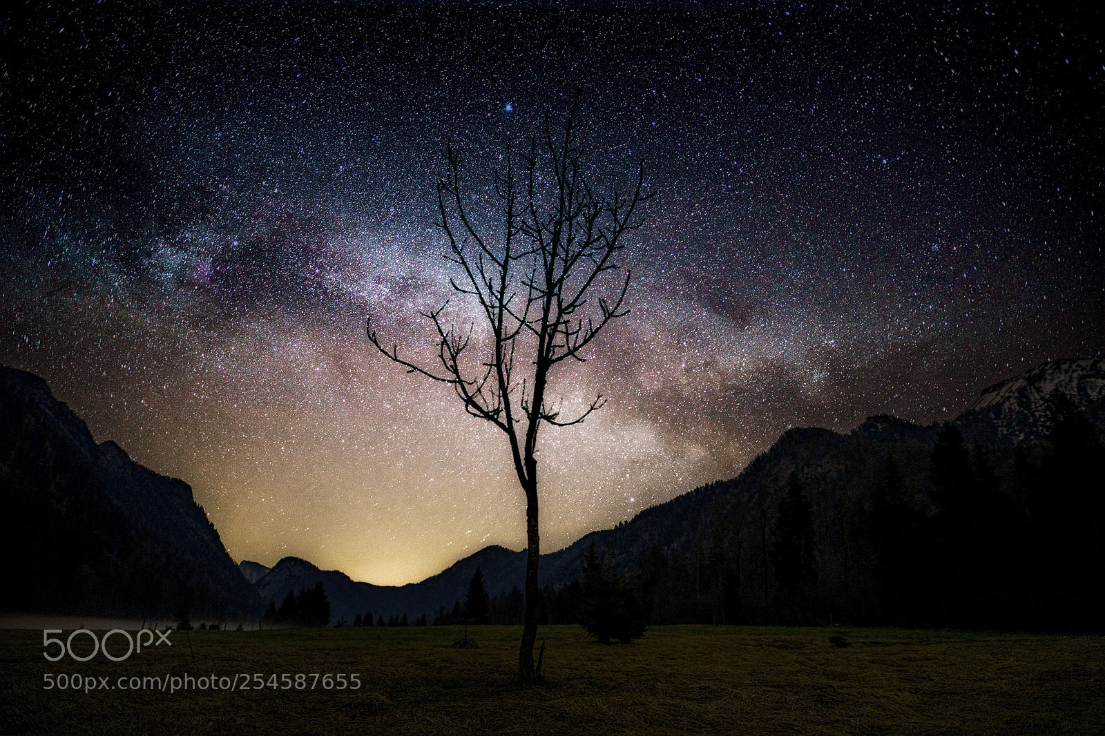 Sony a7 III sample photo. Night under the stars photography