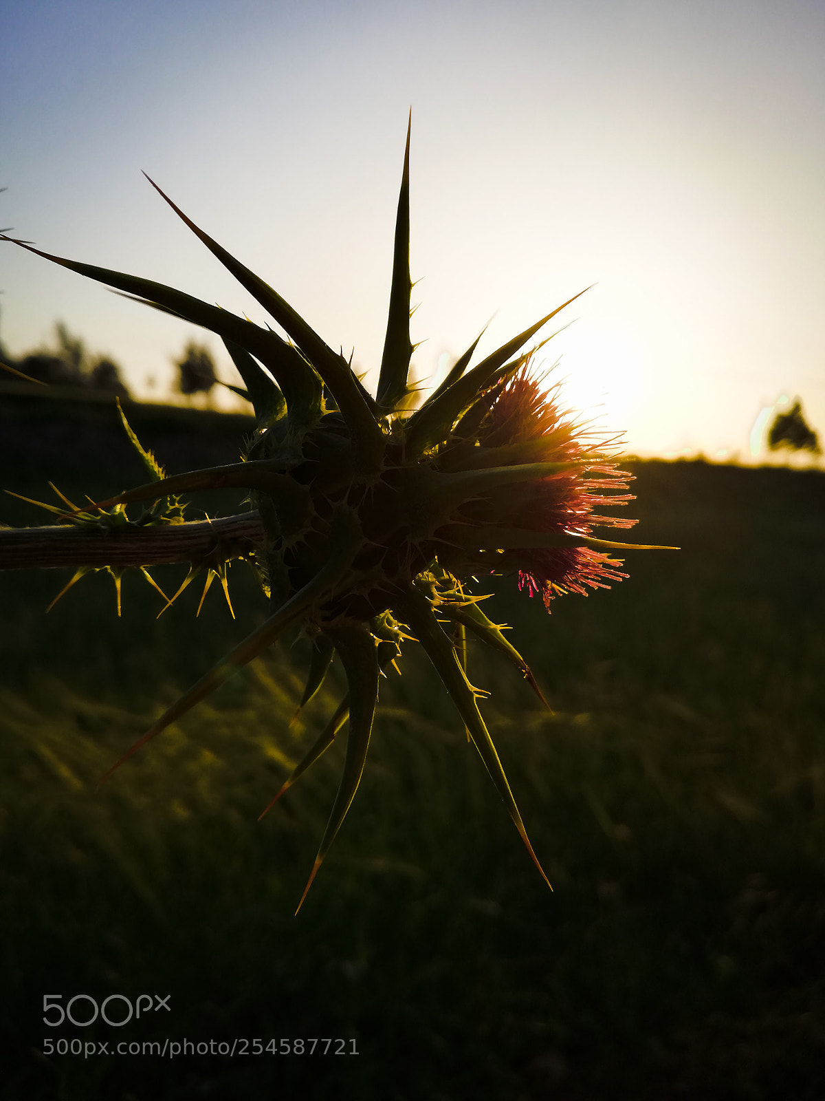 HUAWEI Mate 10 Lite sample photo. Untitled photography