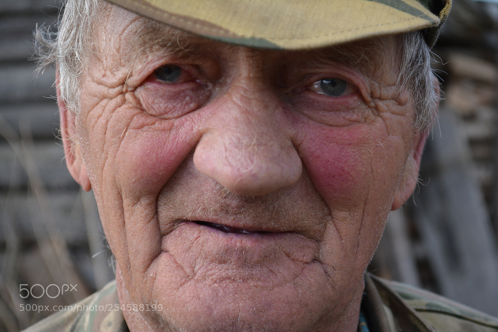 Nikon D5200 sample photo. Untitled photography