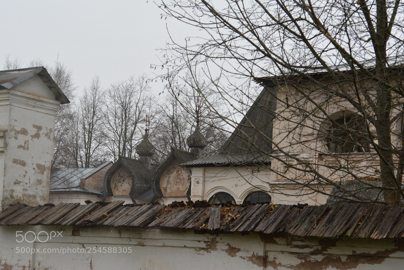 Nikon D5200 sample photo. Untitled photography