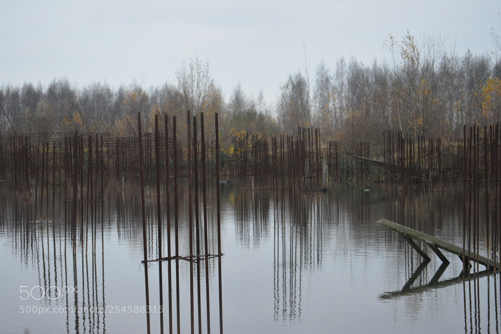 Nikon D5200 sample photo. Untitled photography