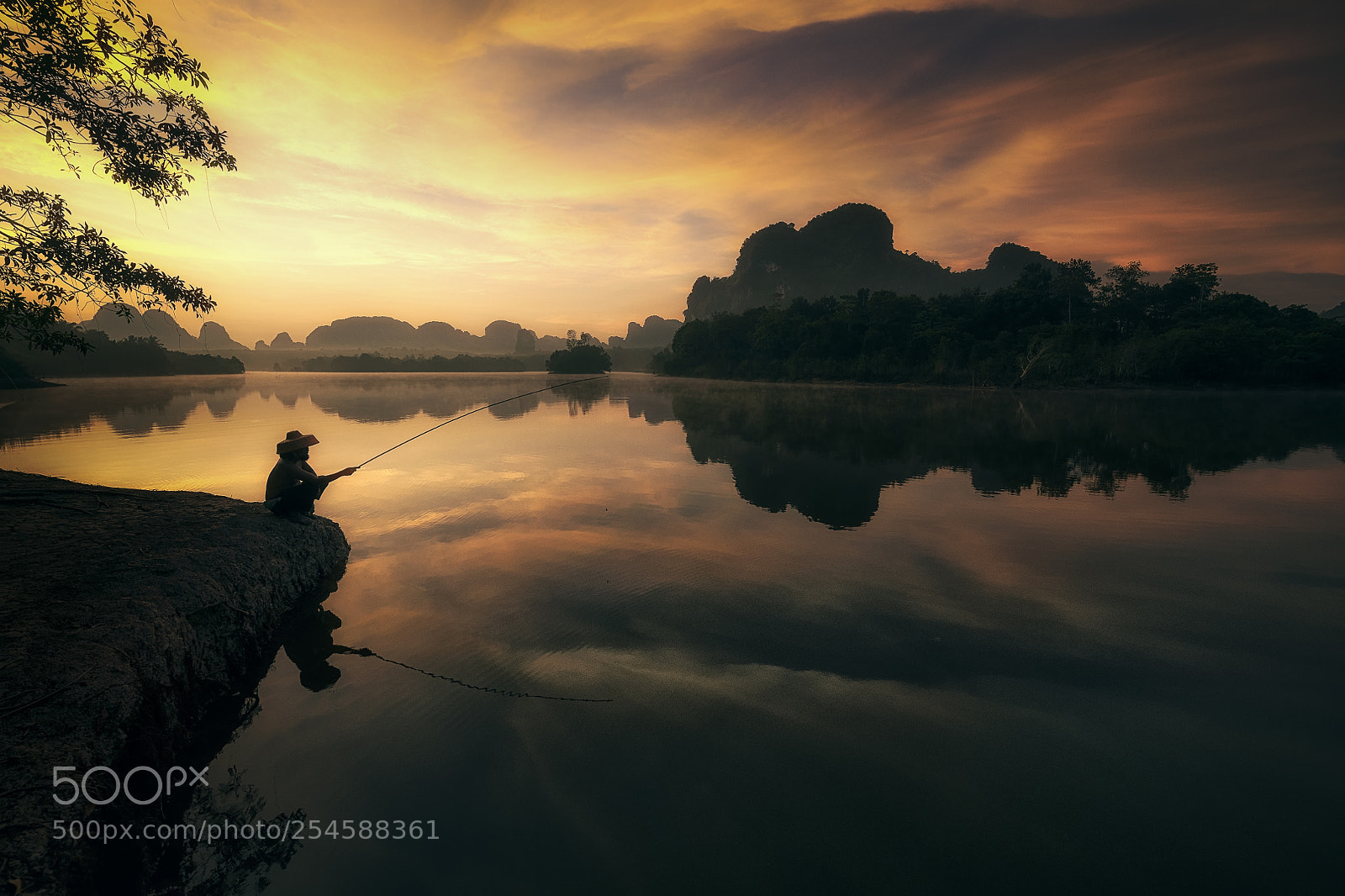 Nikon D850 sample photo. Simply life at nong photography