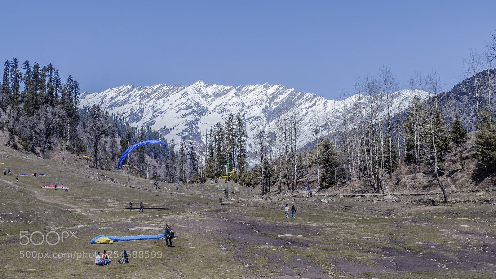 Nikon D7000 sample photo. Solang valley photography