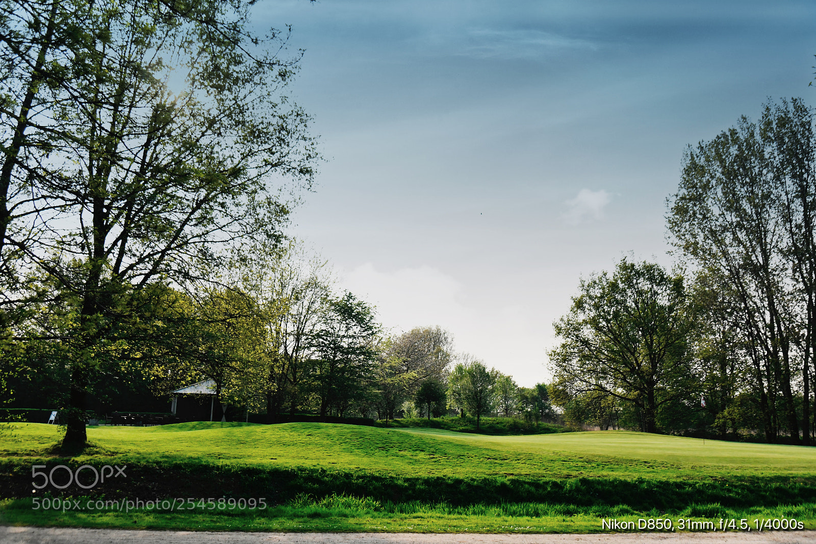 Nikon D850 sample photo. Nature photography