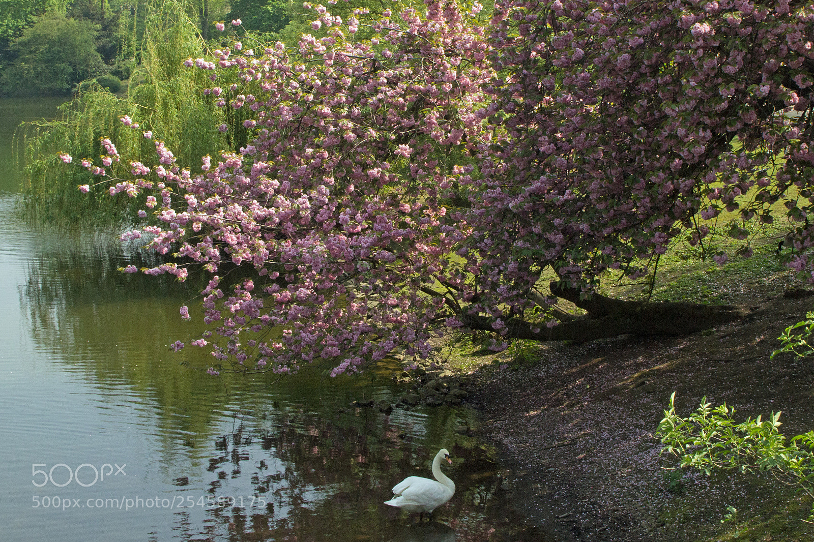 Canon EOS 60D sample photo. Dusseldorf photography