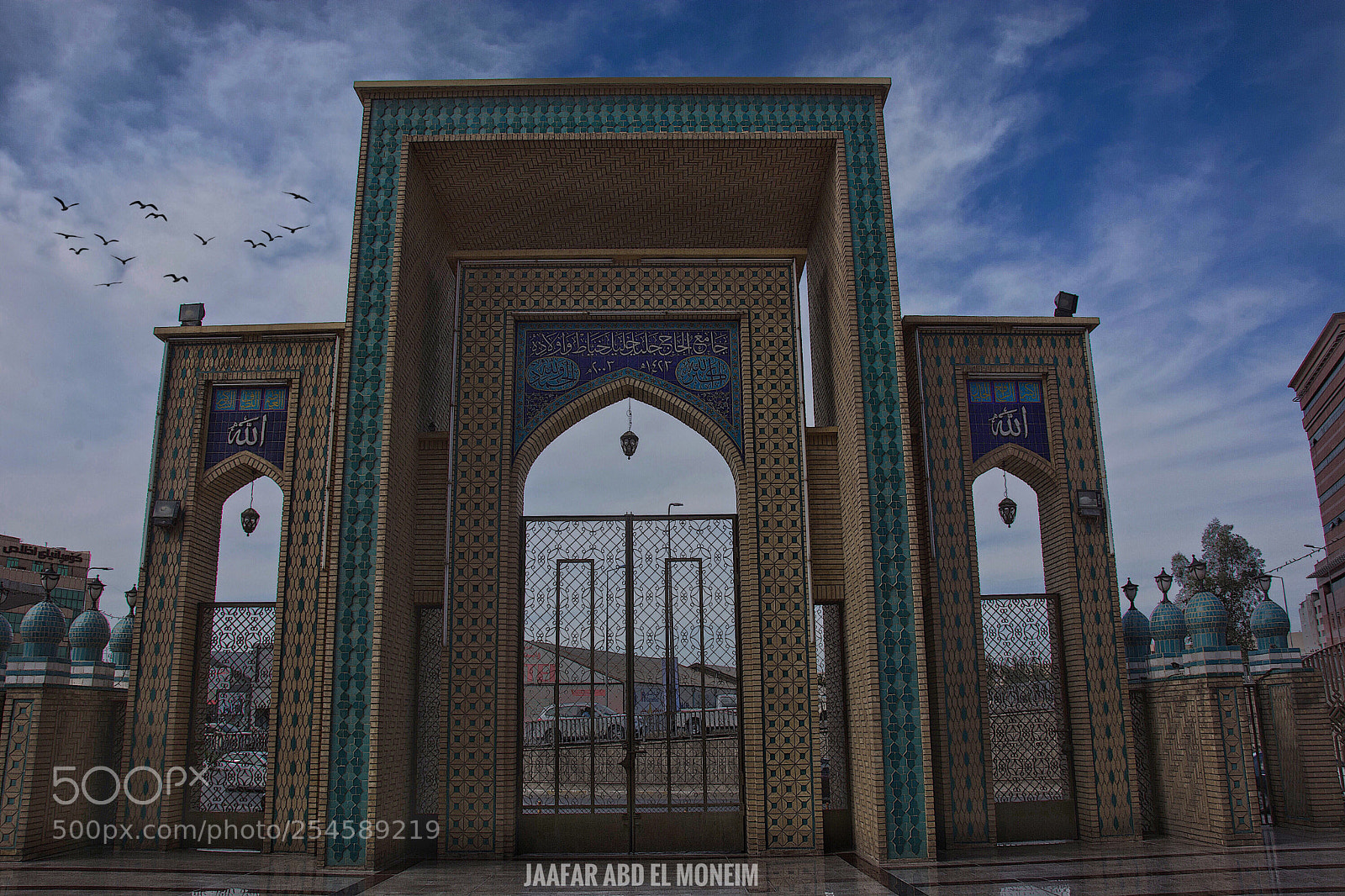 Nikon D7100 sample photo. Untitled photography
