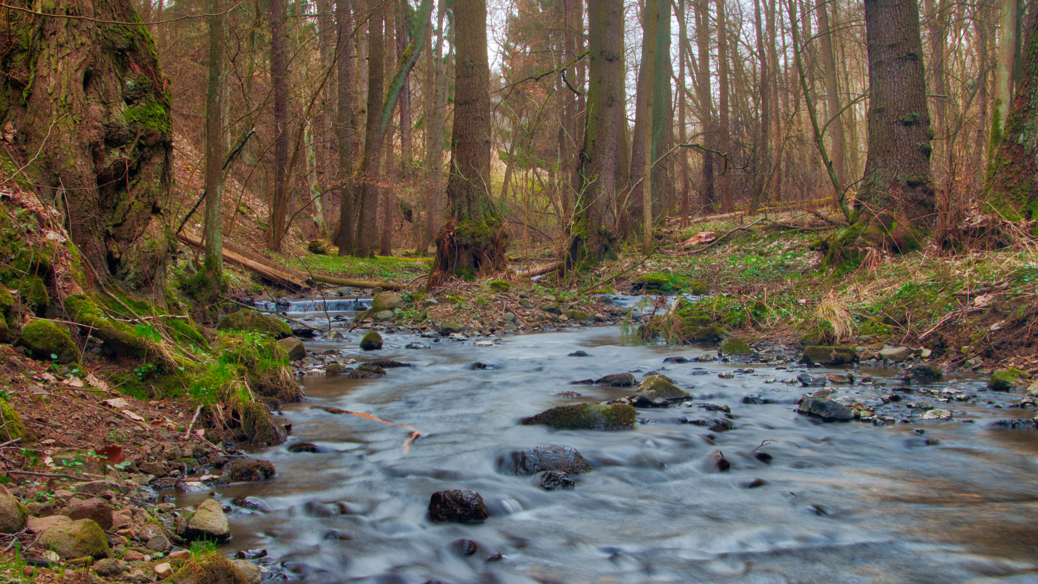 Canon EF 24-105mm F4L IS II USM sample photo. Natx376 photography