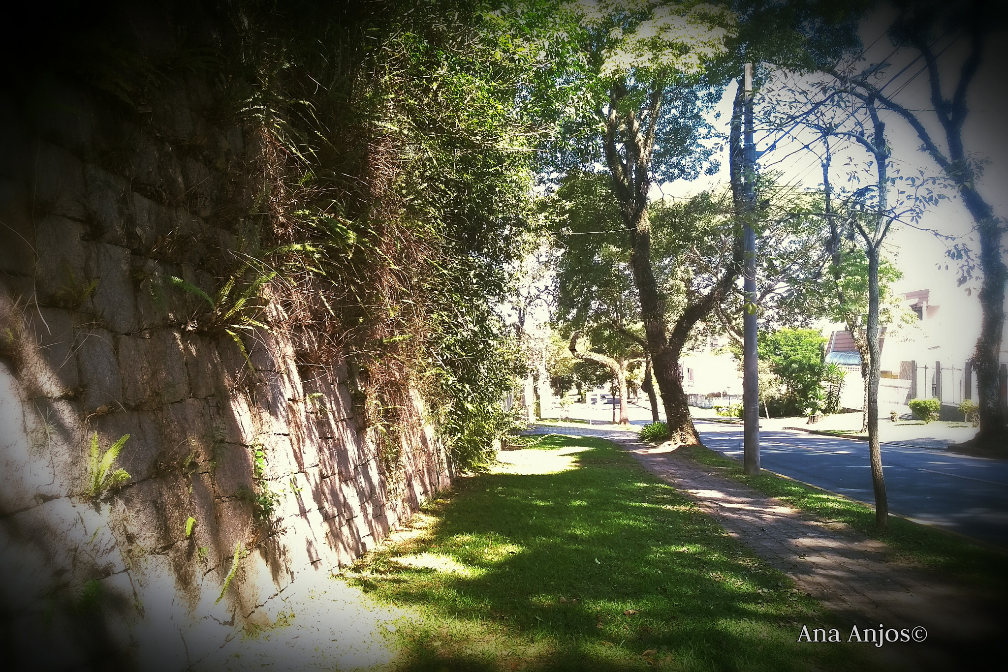 Motorola Moto G (5S) sample photo. Se esta rua fosse minha... photography