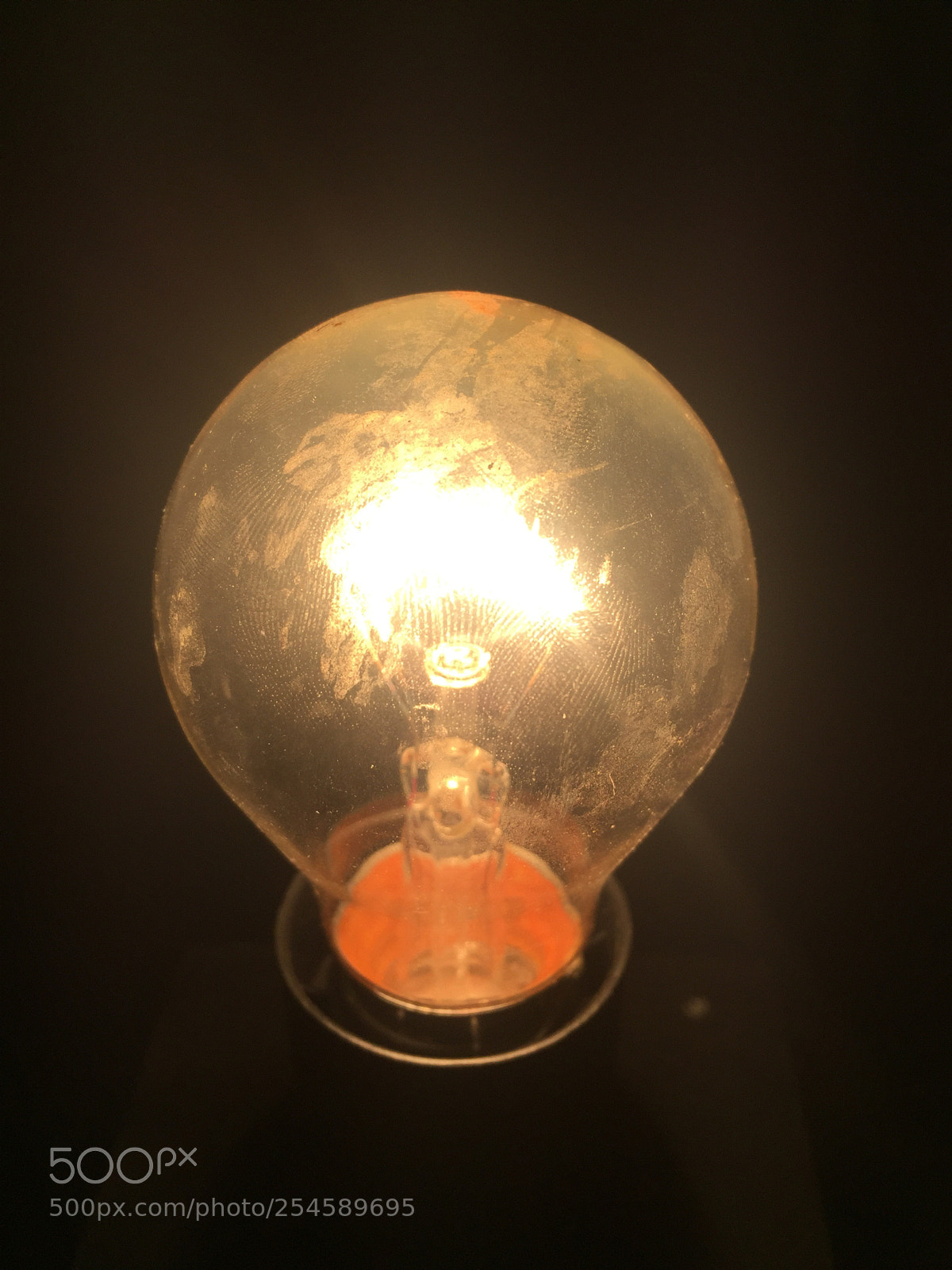Apple iPhone 6 sample photo. Brighten up photography