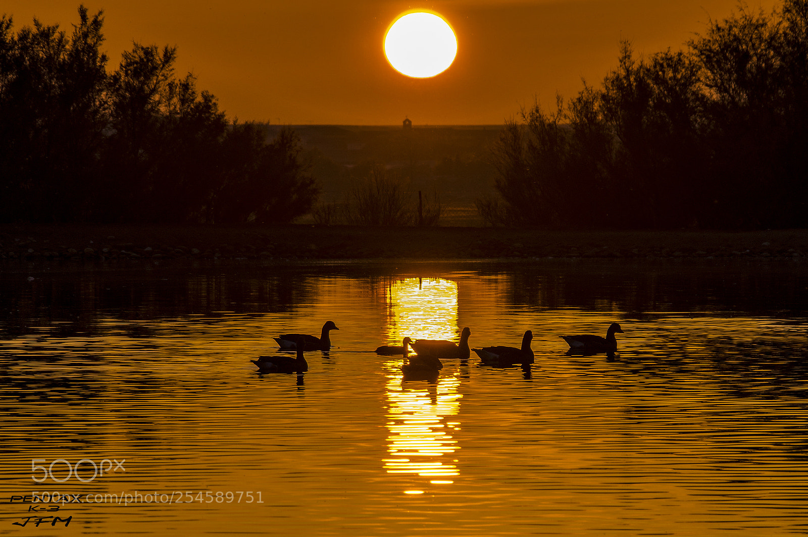 Pentax K-3 sample photo. Lagunas de villafafila photography
