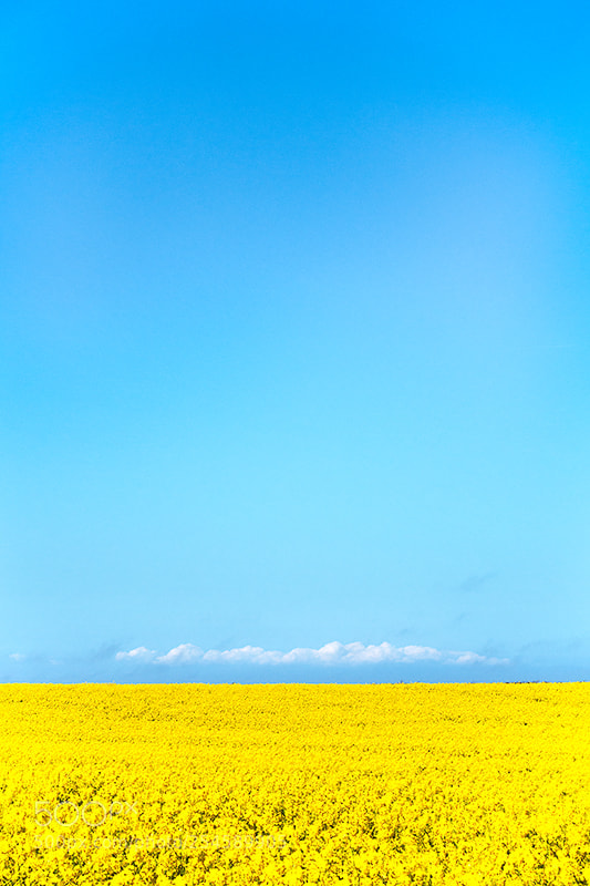Sony Cyber-shot DSC-RX100 III sample photo. Spring somerset photography