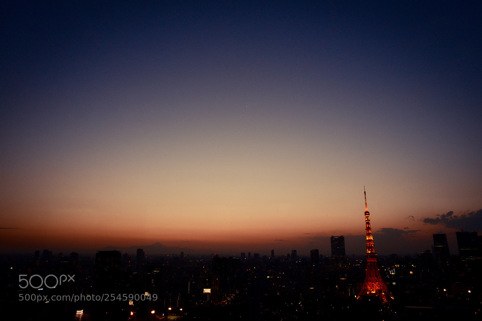 Nikon D600 sample photo. Tokyo tower photography