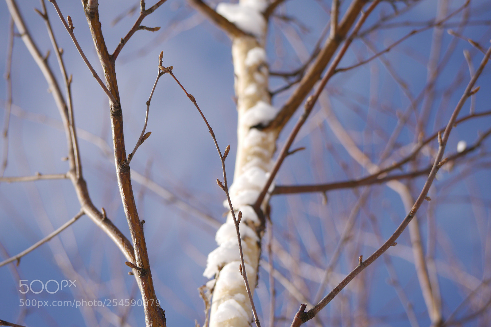 Panasonic Lumix DMC-G5 sample photo. Spring photography
