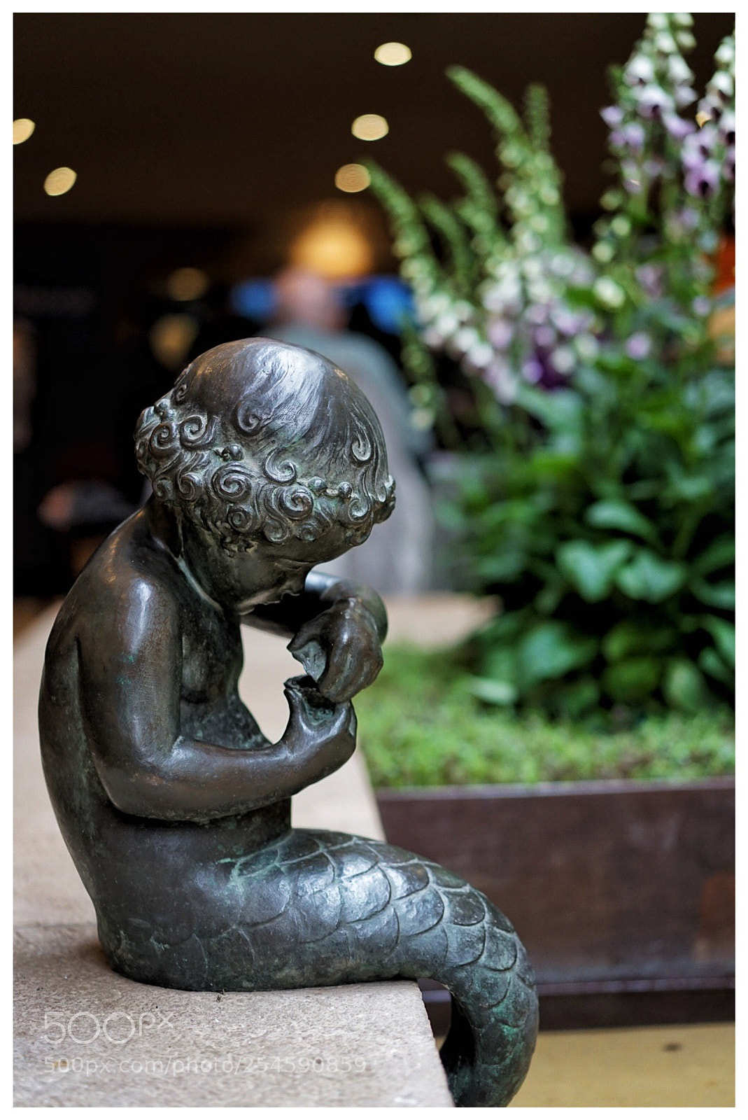 Sony a7 II sample photo. Little mermaid photography