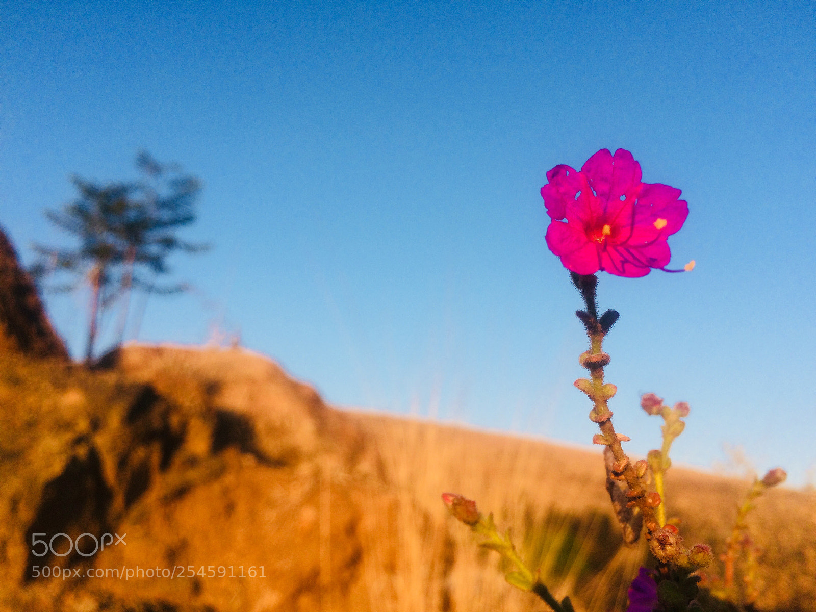 Apple iPhone 5s sample photo. Camino a monte alb photography