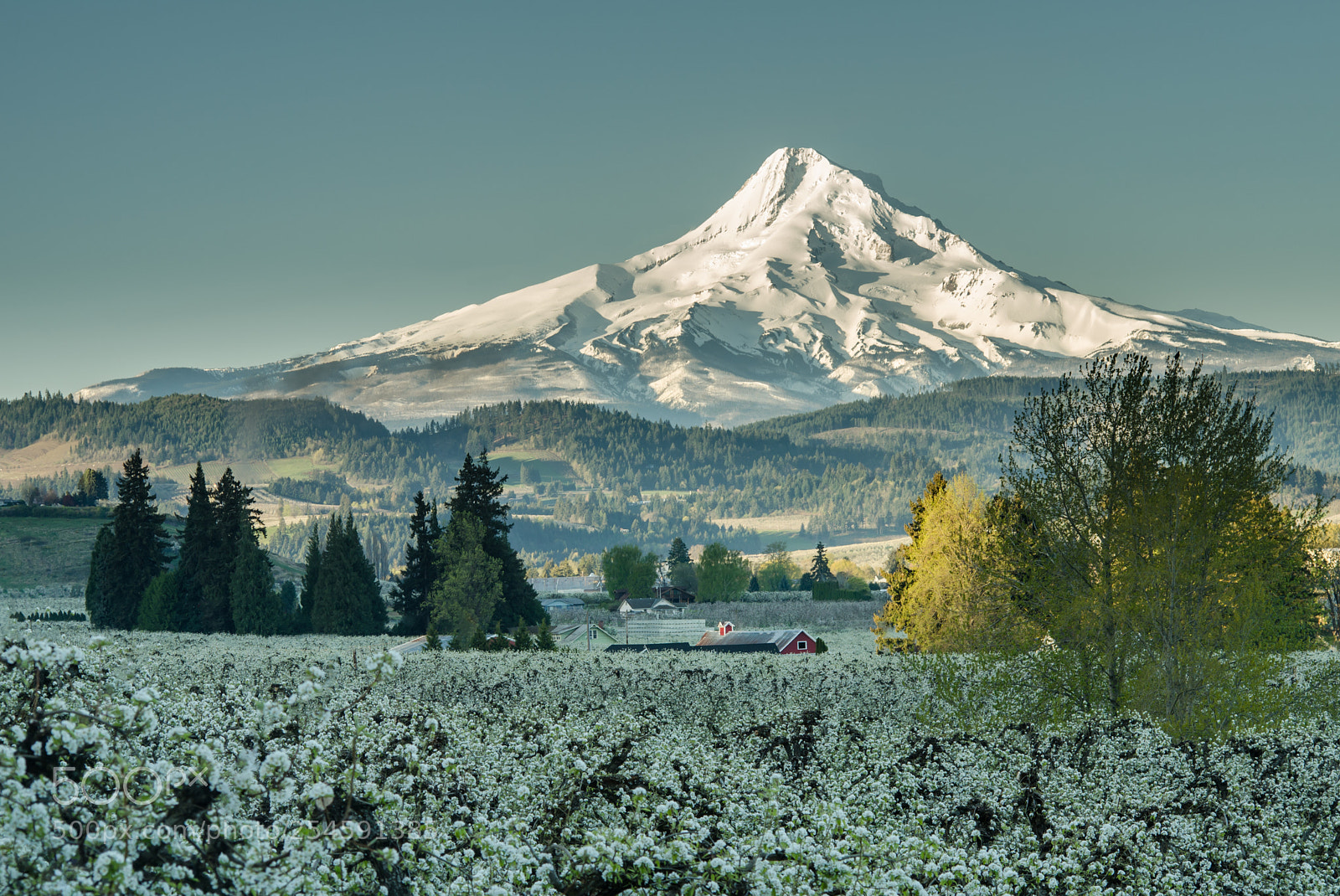 Nikon D7000 sample photo. Valley view in spring photography
