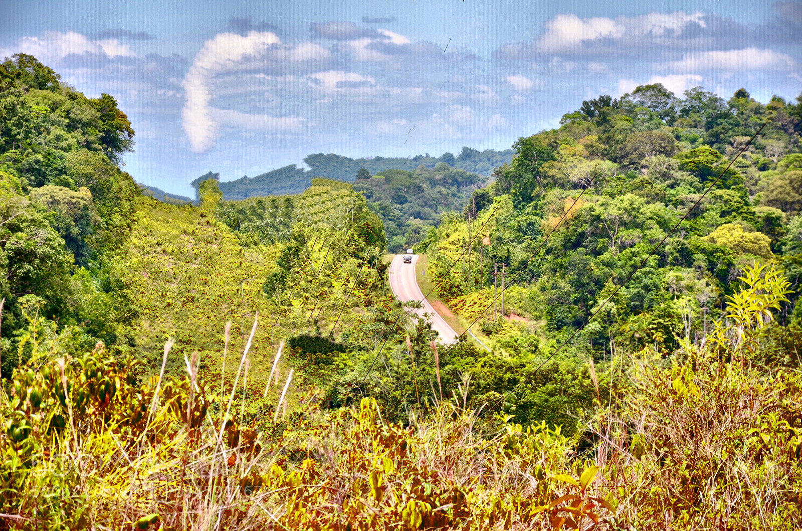 Nikon D7000 sample photo. Green suriname photography