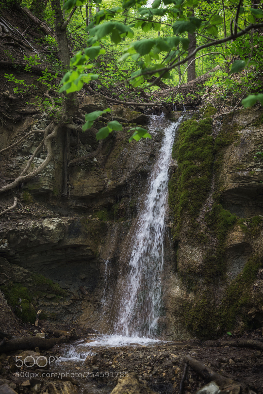 Nikon D610 sample photo. Waterfall photography