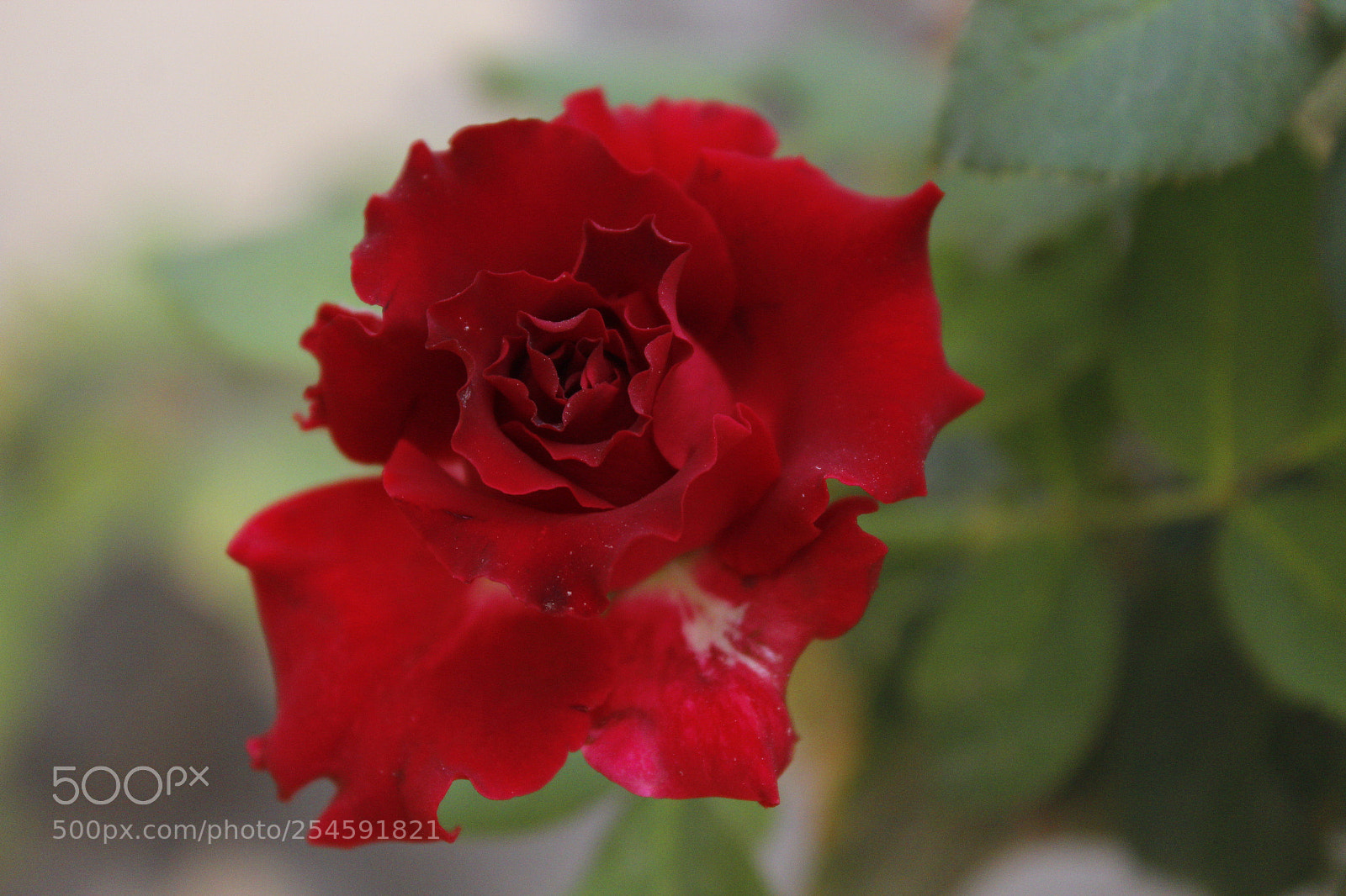 Canon EOS 1200D (EOS Rebel T5 / EOS Kiss X70 / EOS Hi) sample photo. Be the last to photography
