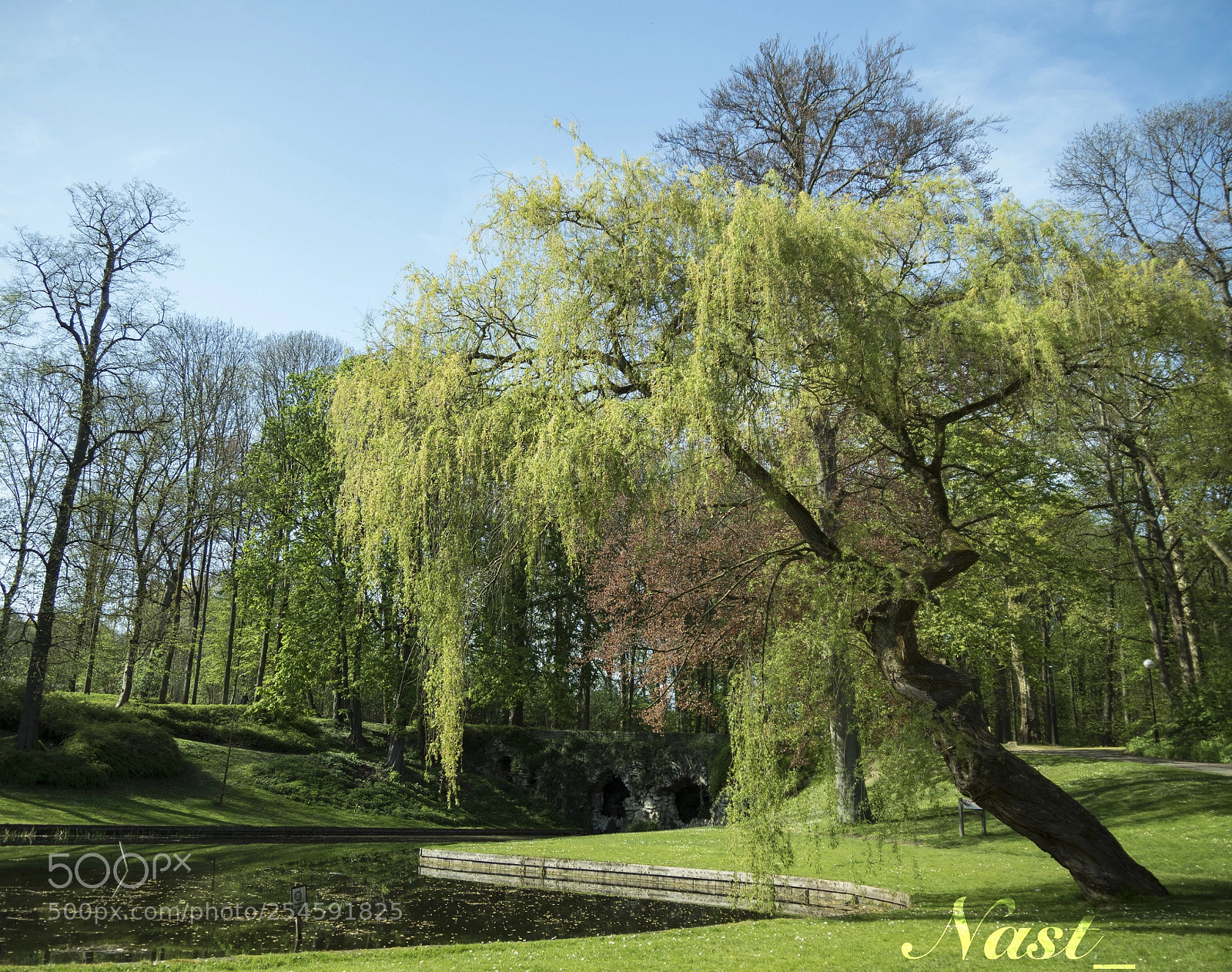 Olympus OM-D E-M5 II sample photo. Blue or green photography