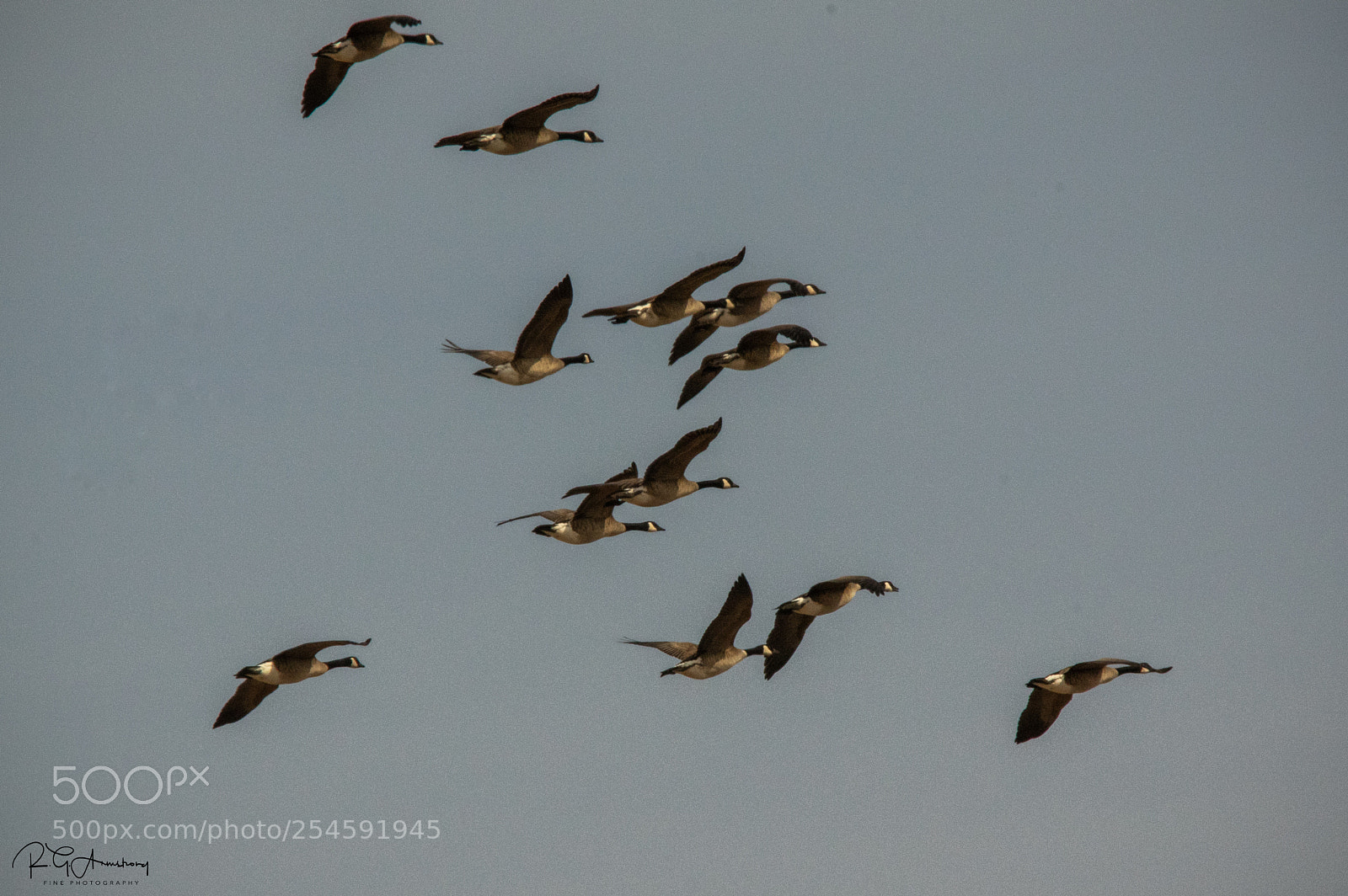Pentax K-3 II sample photo. _img1443-edit.jpg photography