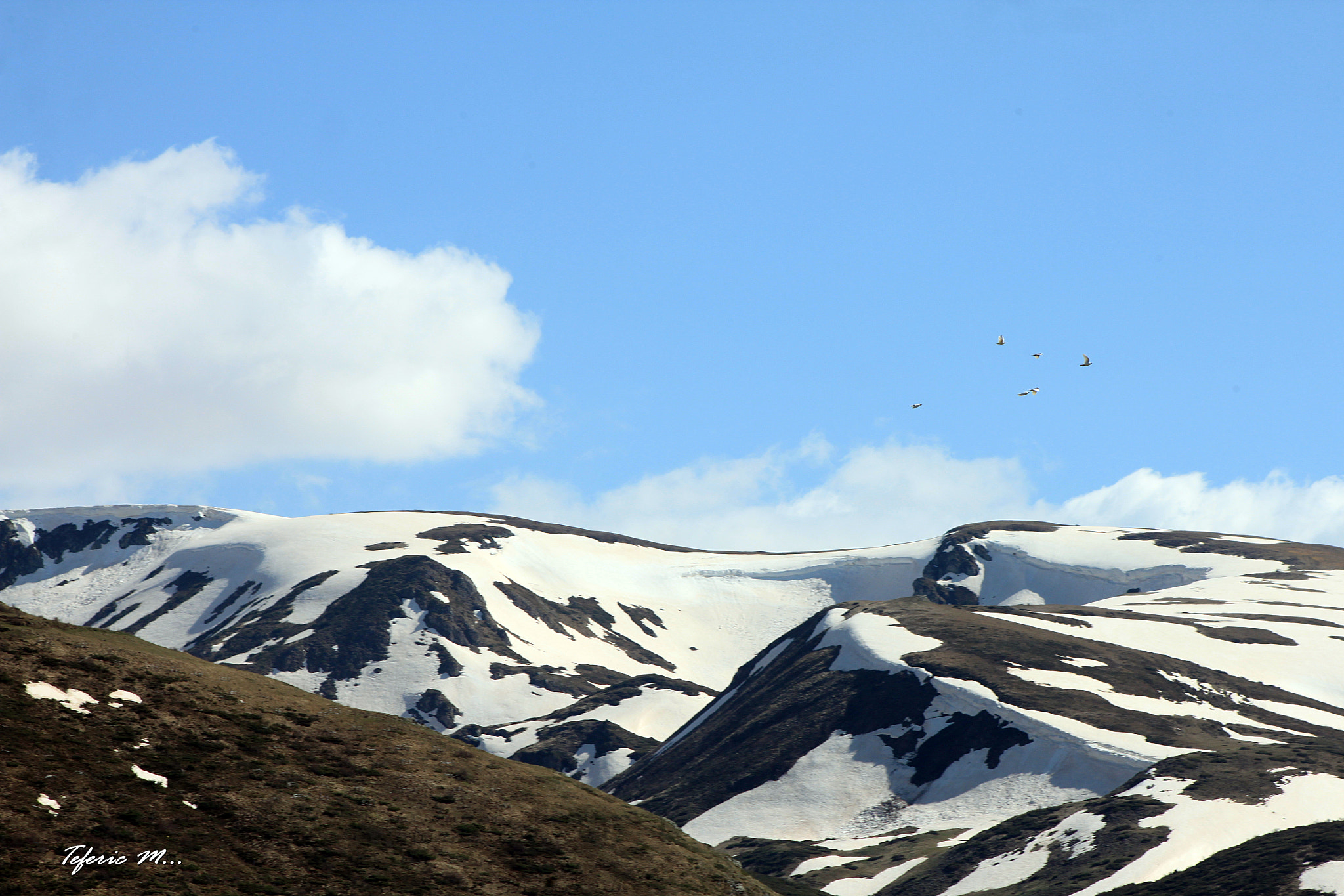 Canon EF 75-300mm f/4-5.6 sample photo. Shar-mountain photography