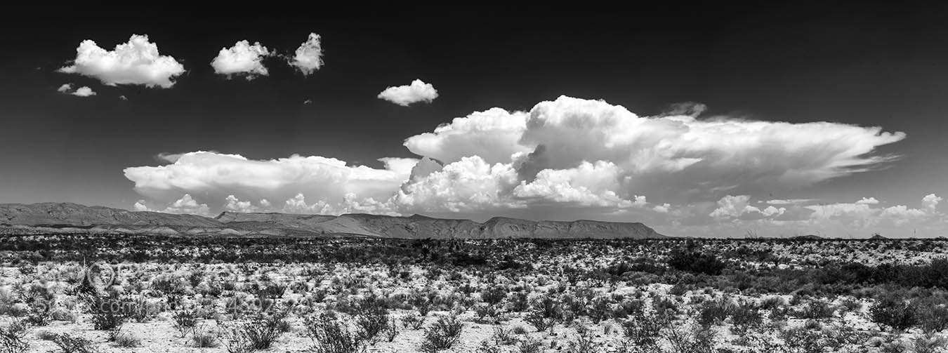 Nikon D800 sample photo. Big bend landscape 1 photography