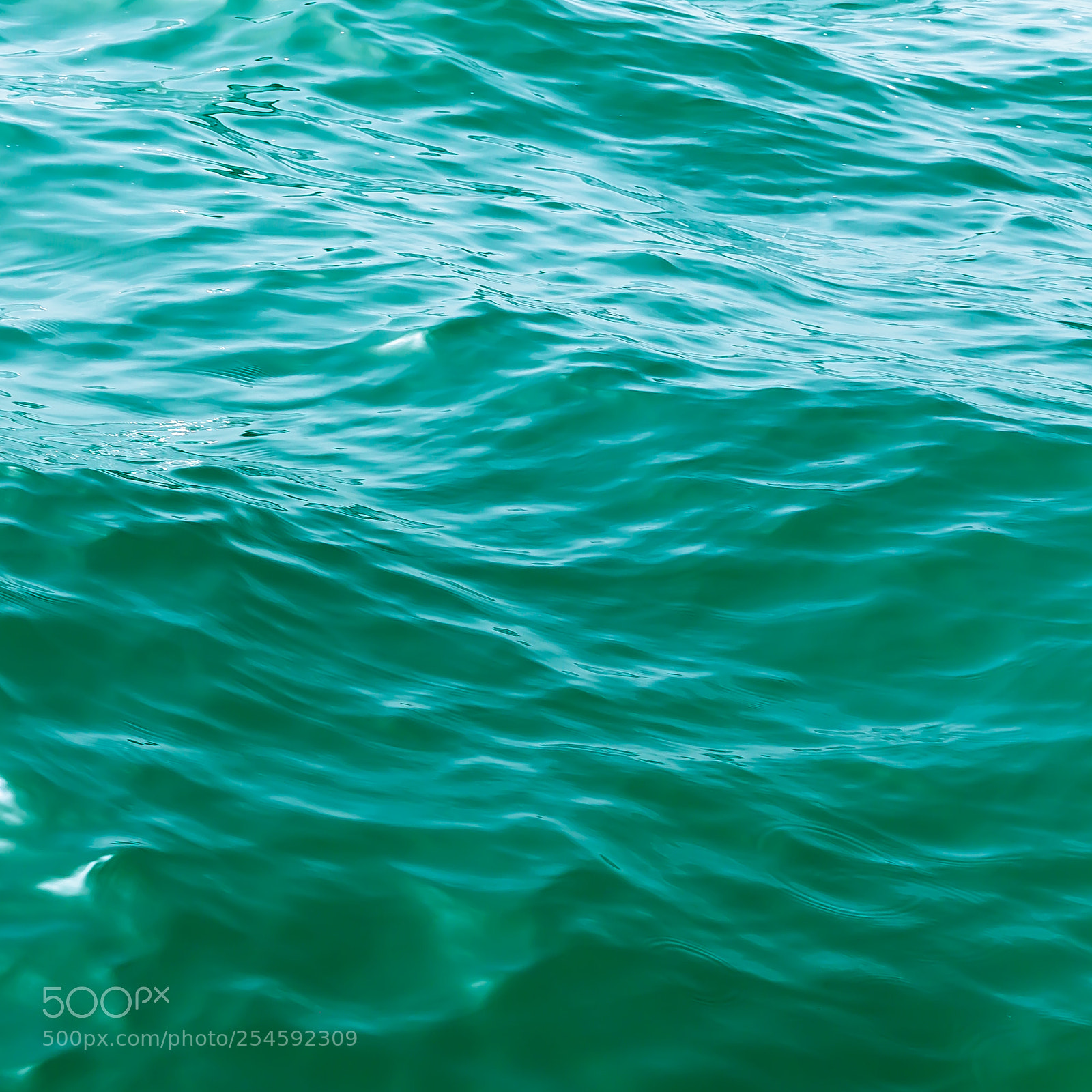 Canon EOS 7D Mark II sample photo. Waters of venice photography