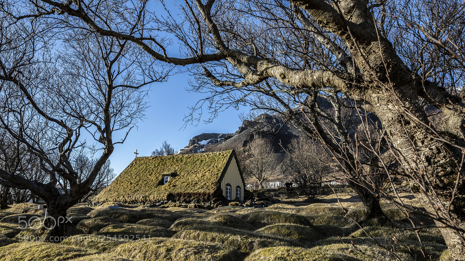 Canon EOS 5D Mark IV sample photo. Forgotten church photography