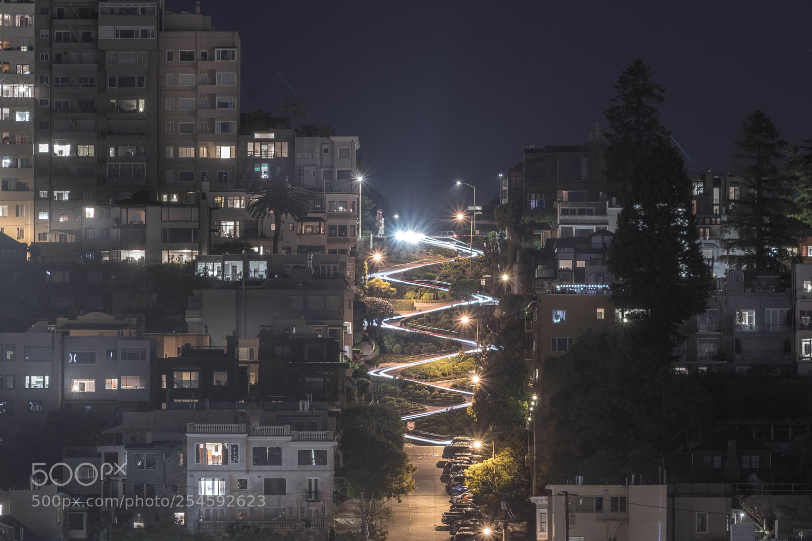 Canon EOS 80D sample photo. Lombard street lights photography