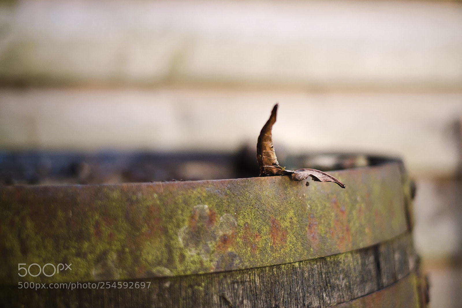 Fujifilm X-T1 sample photo. Untitled photography