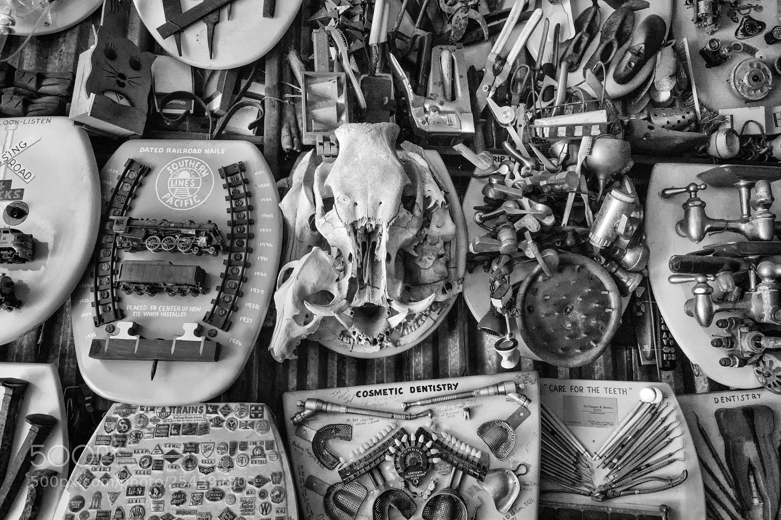 Nikon D7100 sample photo. Barney smith's toilet seat photography