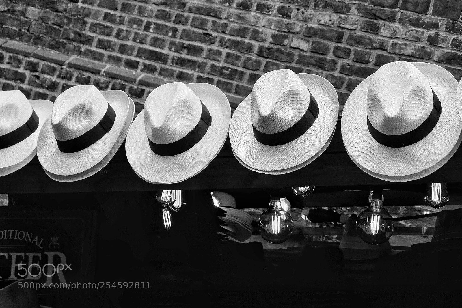 Fujifilm X-T10 sample photo. Untitled photography
