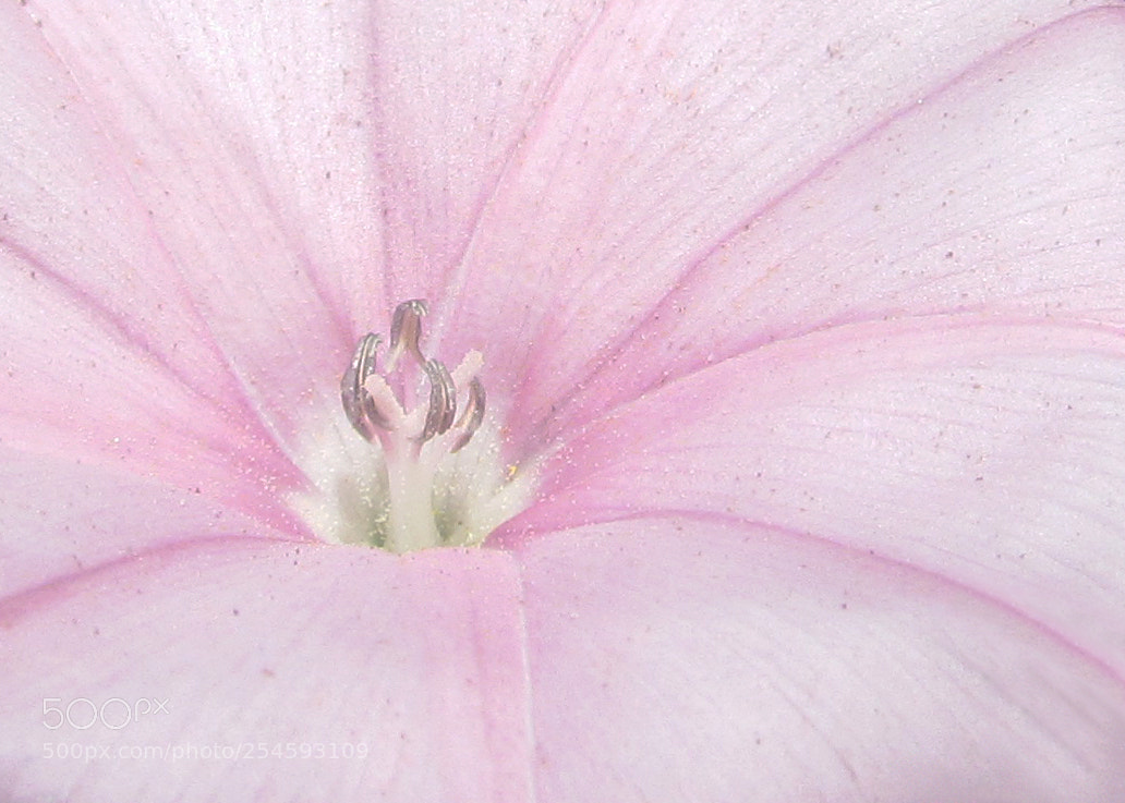 Canon PowerShot SX30 IS sample photo. ... photography
