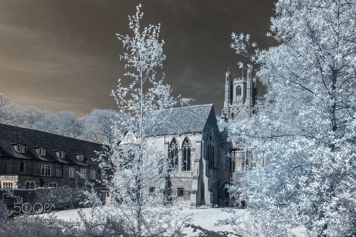 Sony a7 sample photo. Prior crauden's chapel and photography
