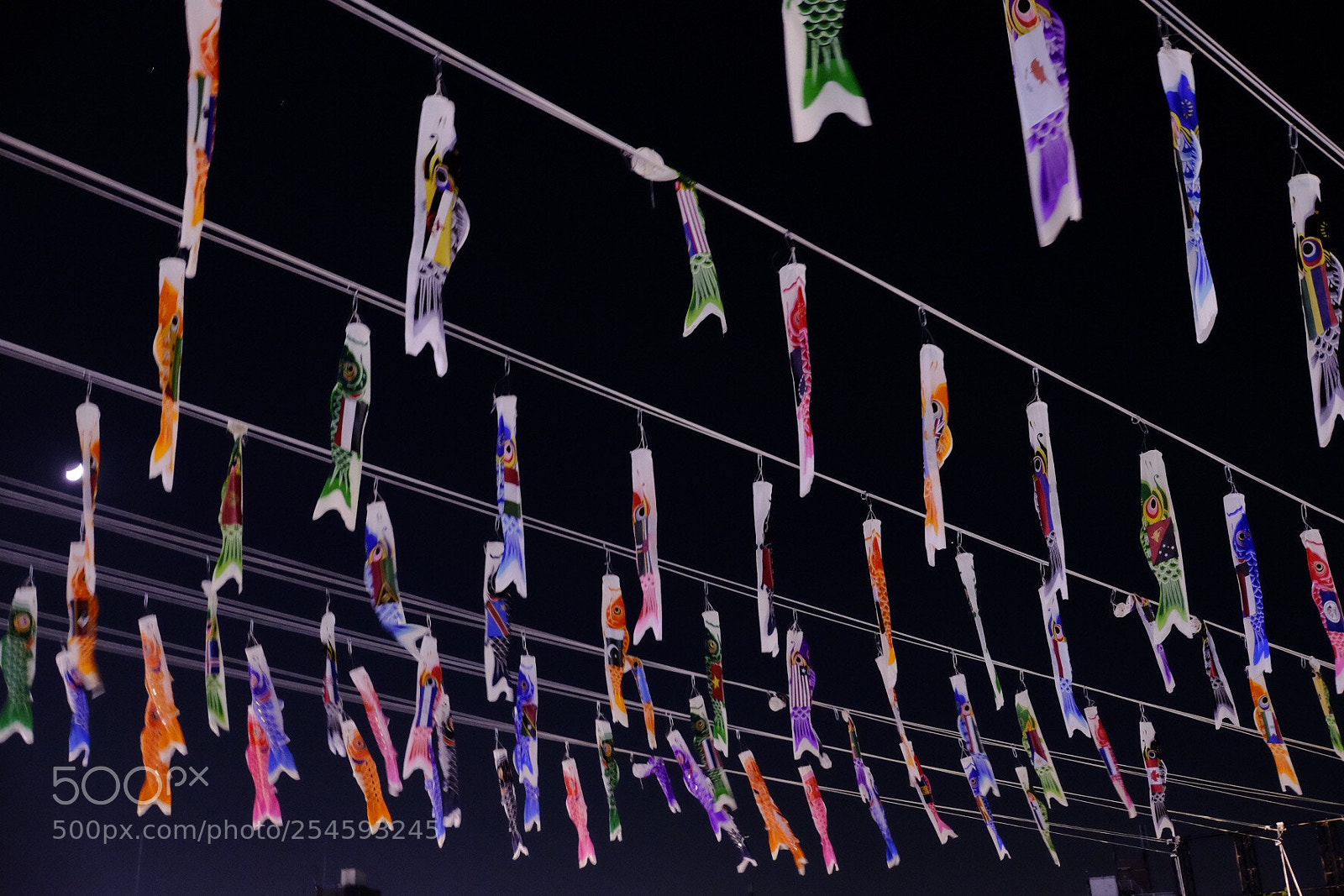 Fujifilm X-T1 sample photo. Untitled photography