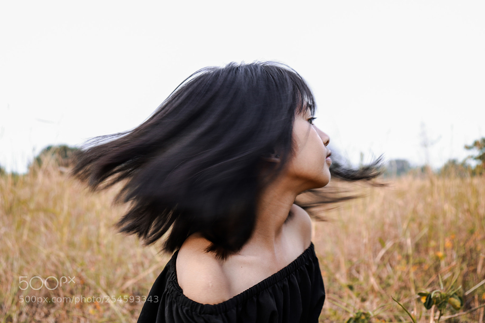 Canon EOS 77D (EOS 9000D / EOS 770D) sample photo. Untitled photography
