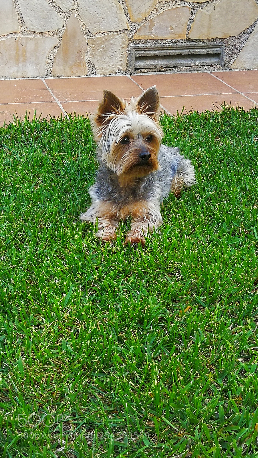 HUAWEI Mate 9 sample photo. Untitled photography