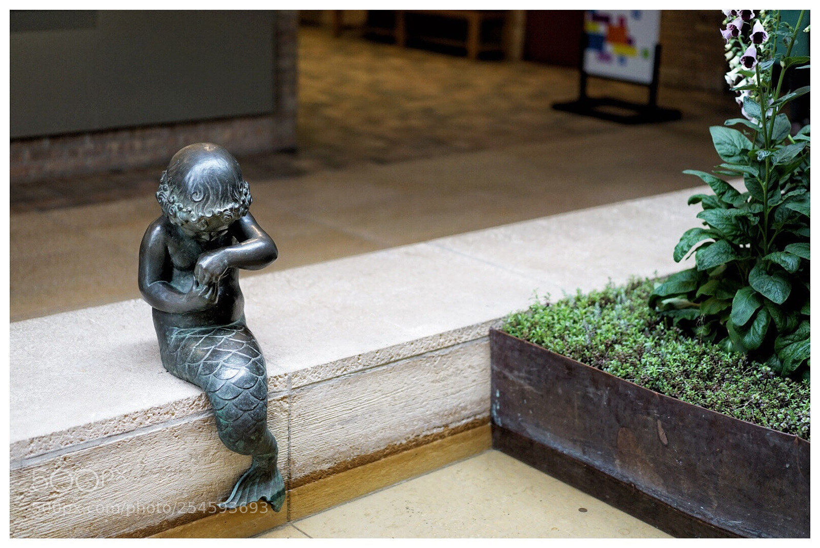 Sony a7 II sample photo. Little mermaid 2 photography