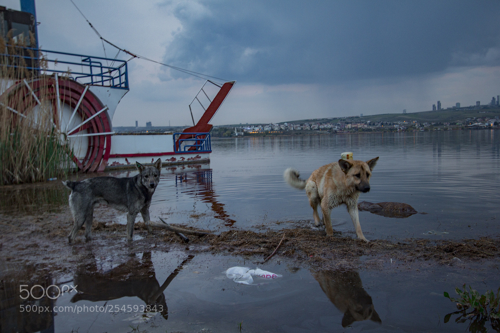 Canon EOS 60D sample photo. Untitled photography