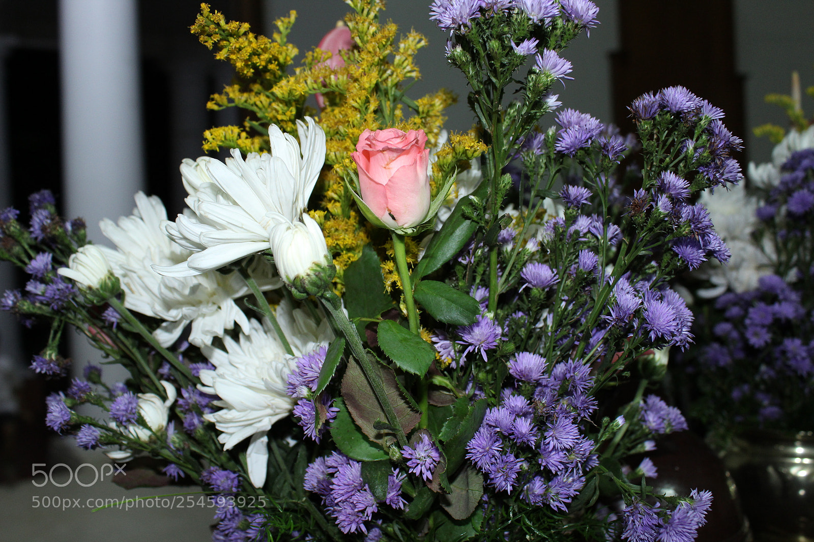 Canon EOS 1300D (EOS Rebel T6 / EOS Kiss X80) sample photo. Untitled photography