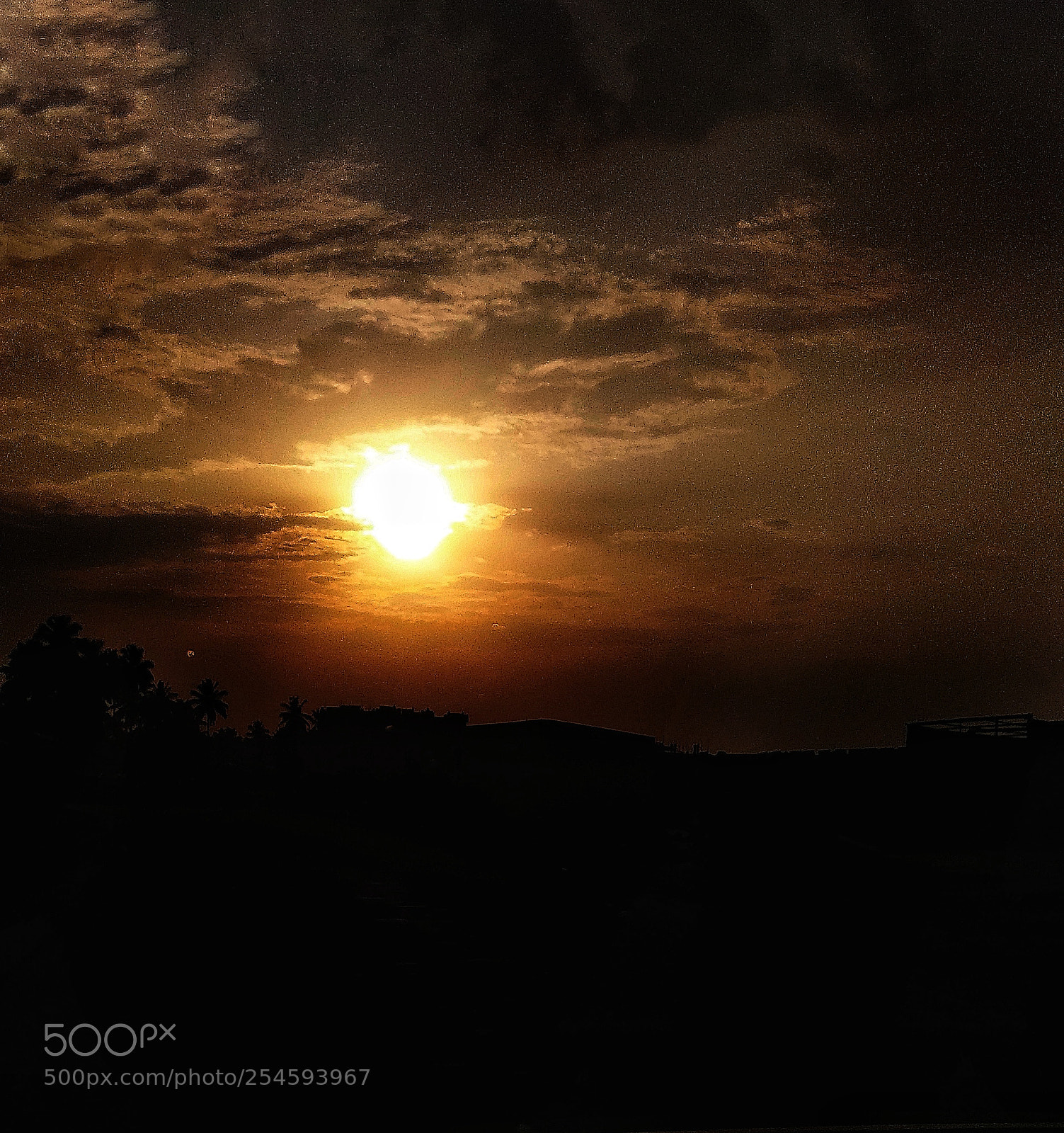 Xiaomi Redmi Note 4 sample photo. Untitled photography