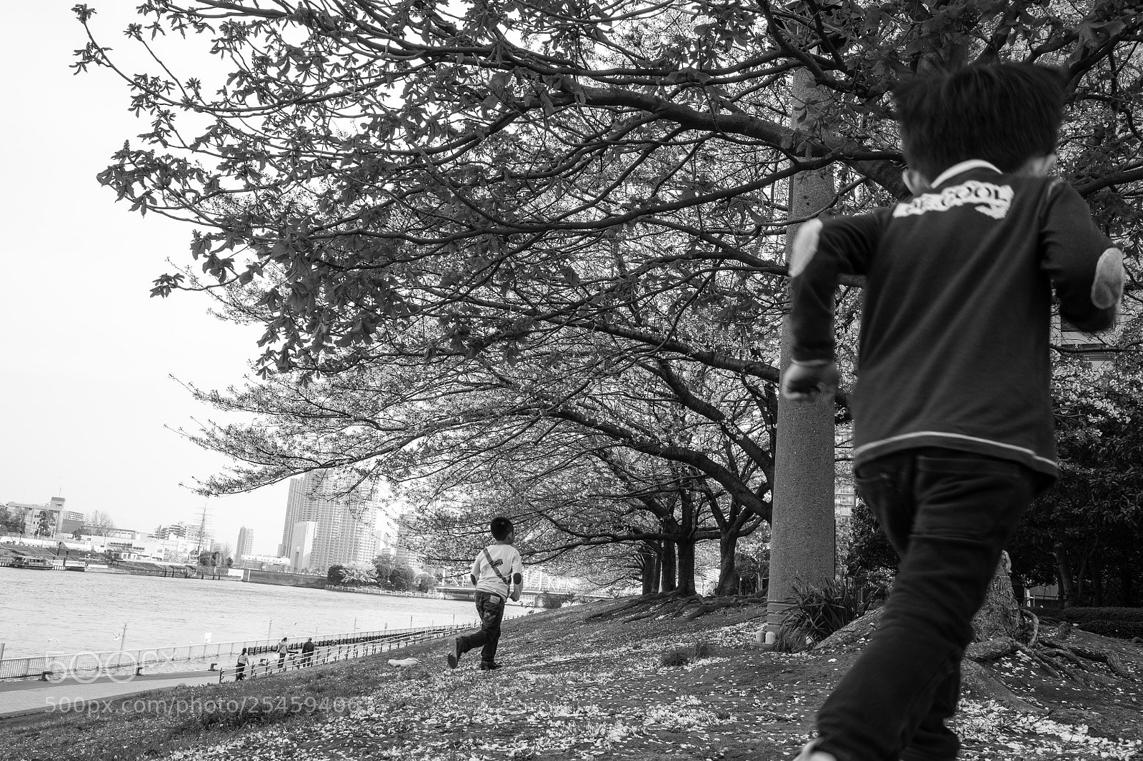 Ricoh GR II sample photo. Running under the cherry photography