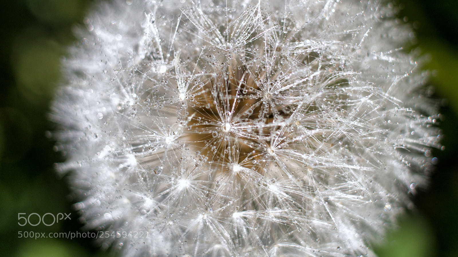 Canon EOS 700D (EOS Rebel T5i / EOS Kiss X7i) sample photo. Prima di volare photography