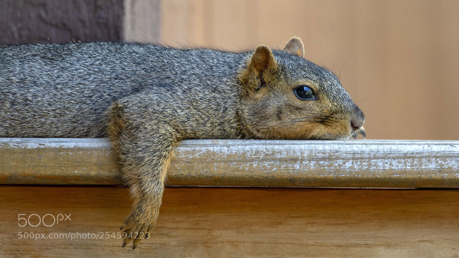 Nikon D7100 sample photo. There's just too much photography