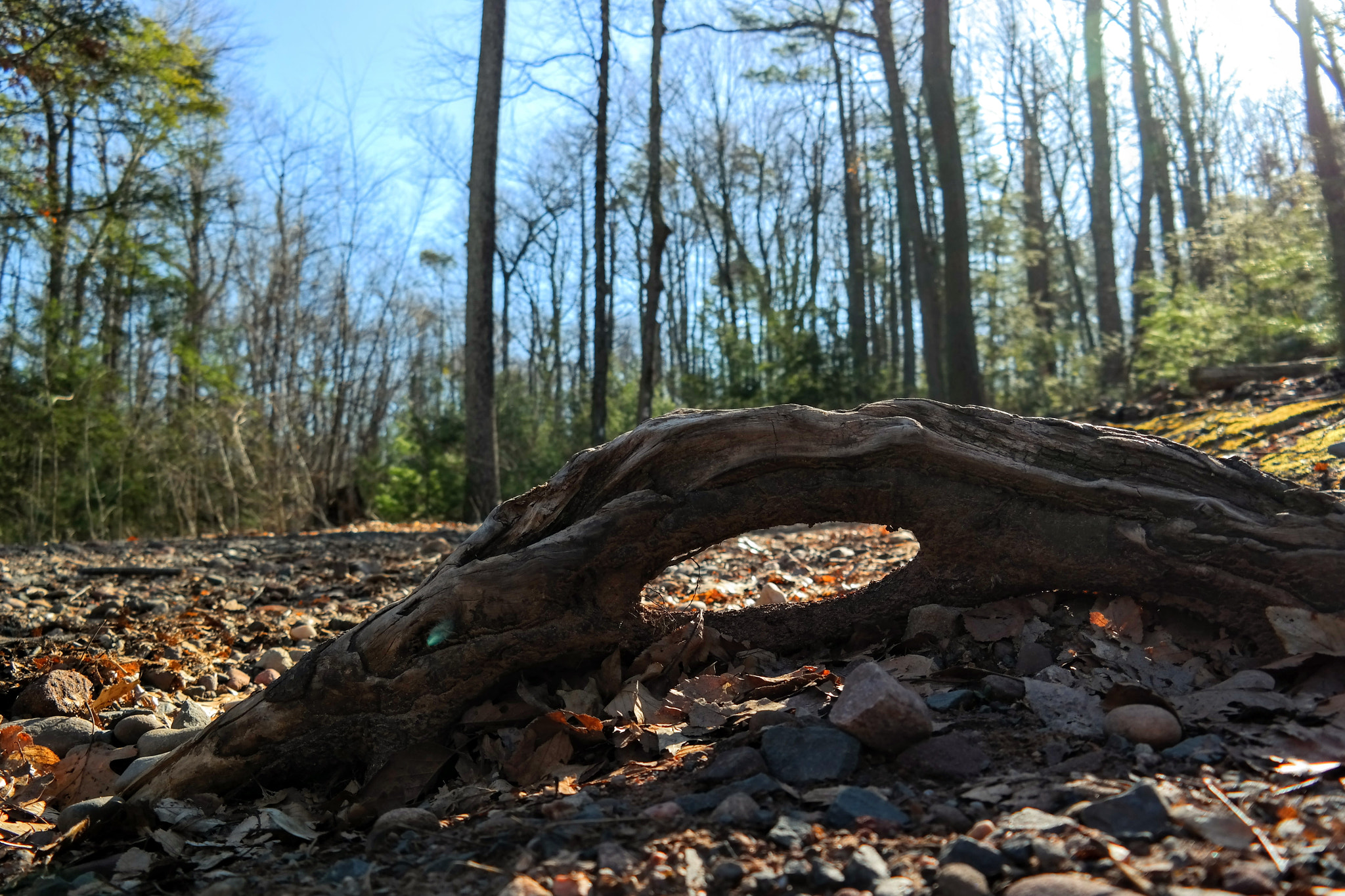 Samsung NX300M sample photo. Morning walk in the mountains photography