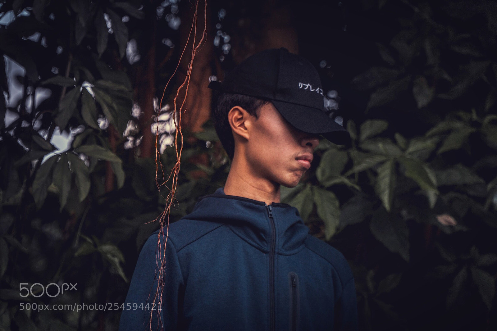 Sony a6500 sample photo. The dark side photography